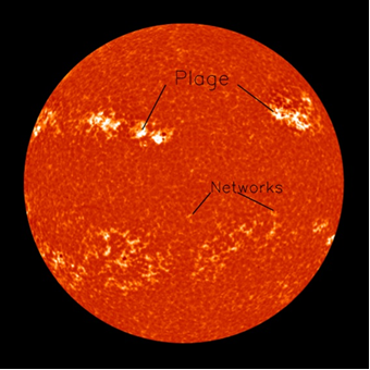 Calcium-K spectroheliogram